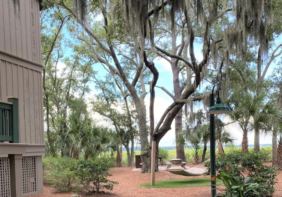 Top 7 Things To Do On Hilton Head Island With Children
