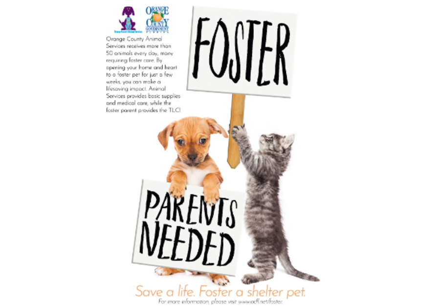 Foster Parents Needed. Save a life. Foster a shelter pet.