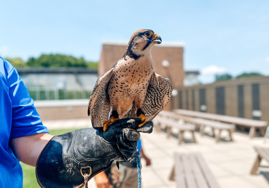 National Aviary Sky Deck 1 