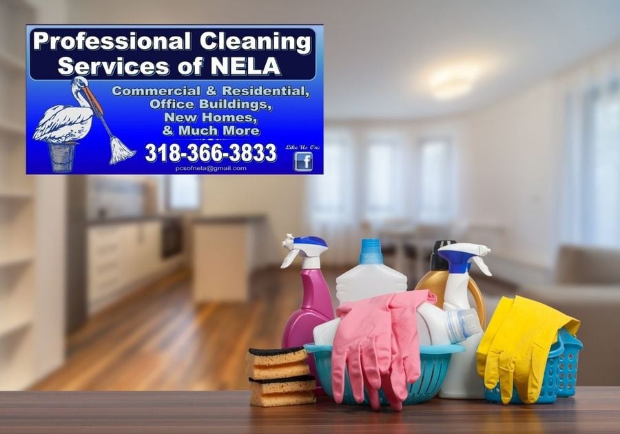 cleaning lady services