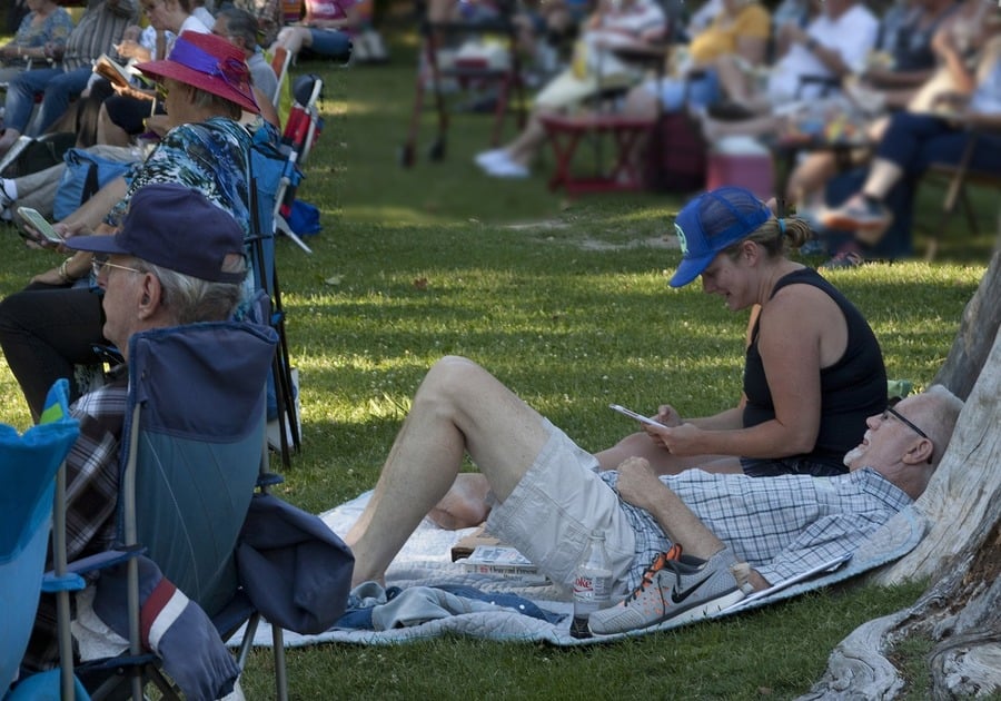 people at concert in park