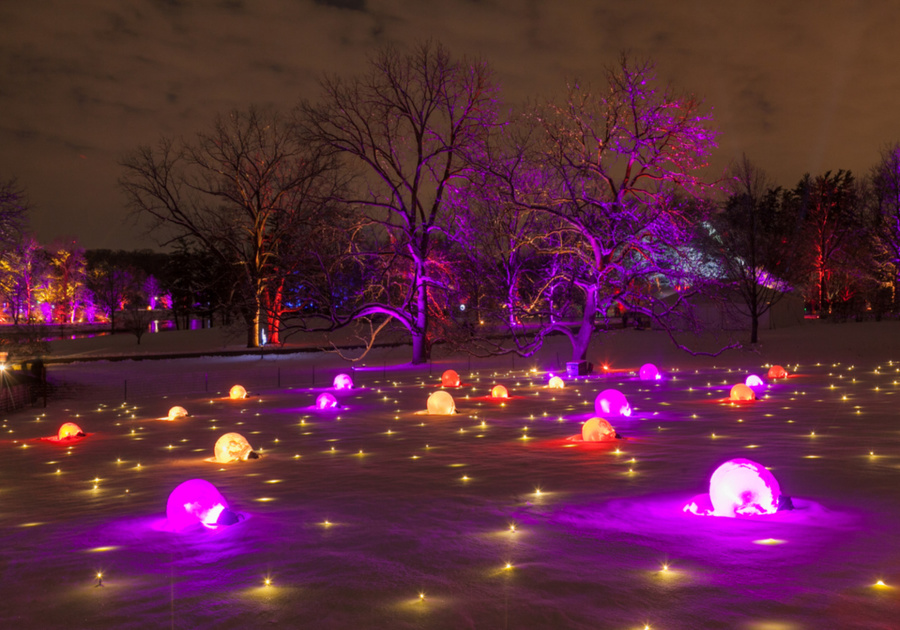 Illumination tree lights at store the morton arboretum