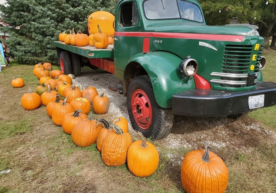 Peacock Road Family Farm