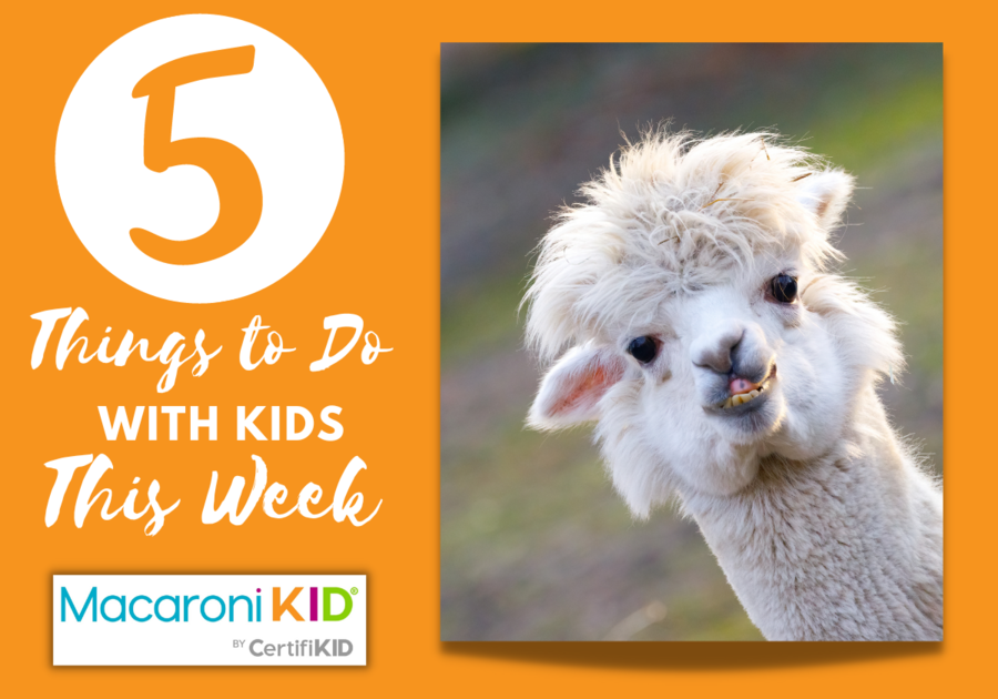 5 Things to Do with kids this week