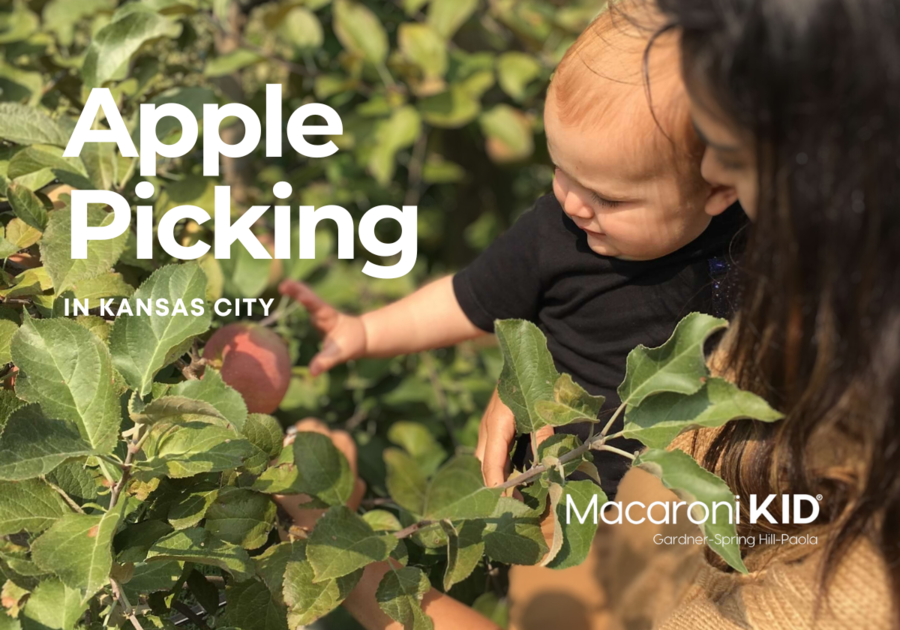 Find local places to pick apples in Kansas City and surrounding areas