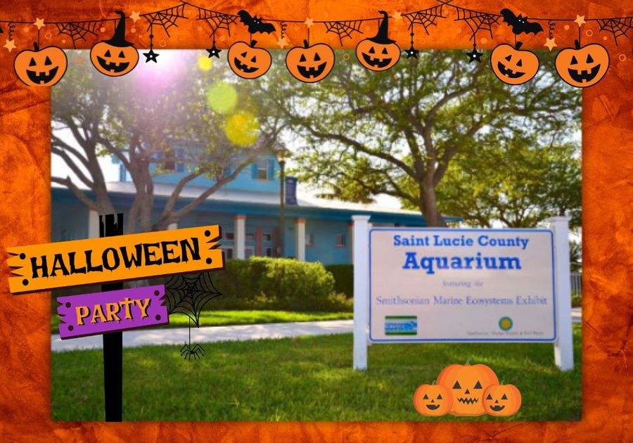 Halloween Party at the St. Lucie County Aquarium