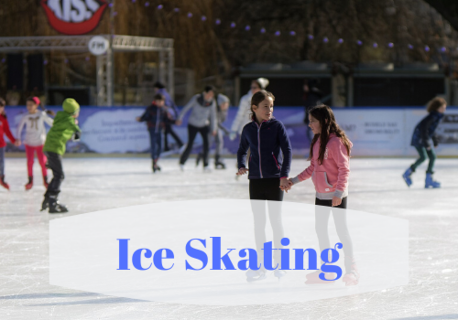 Public Skating Information