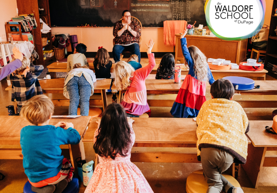 The Waldorf School of Dupage