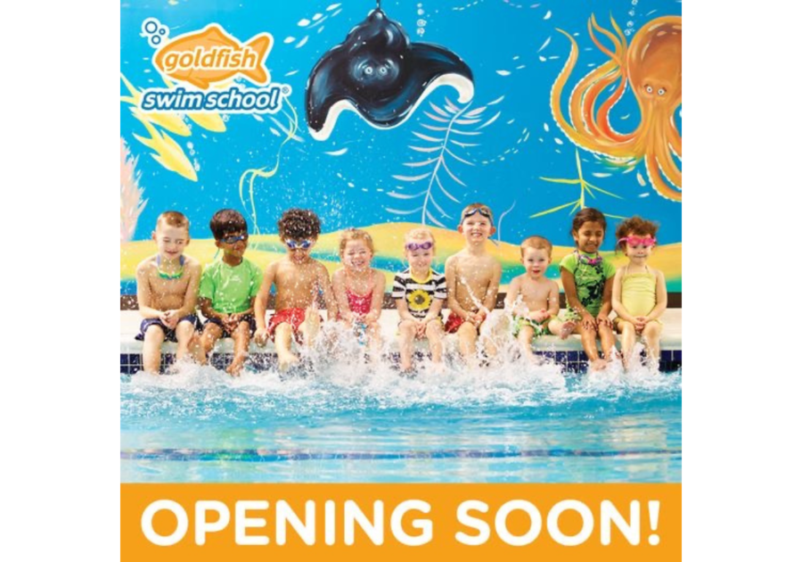 Goldfish Opening Soon