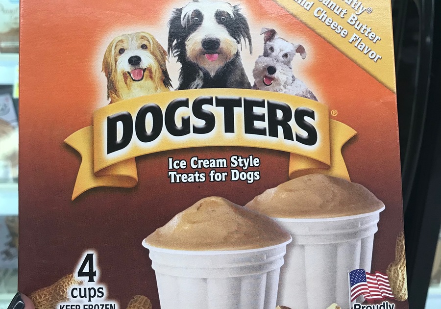 puppy ice cream publix