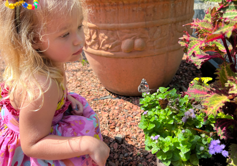 Scarlett viewing a butterfly during A Garden With Wings at Smith Gilbert Gardens