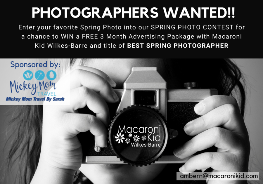 Photographers wanted, Spring photo contest