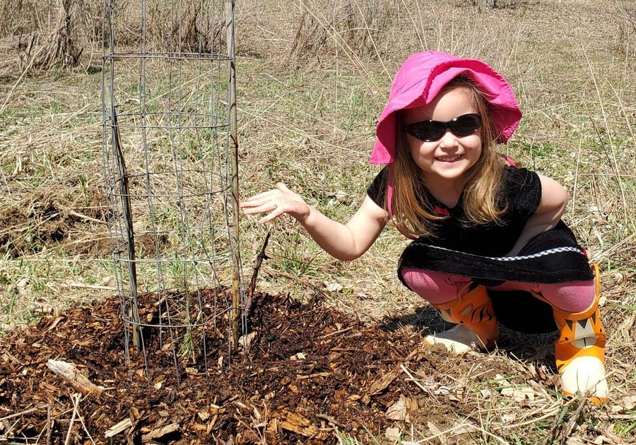 Neighborhood Forest Free Tree Program every Earth Day