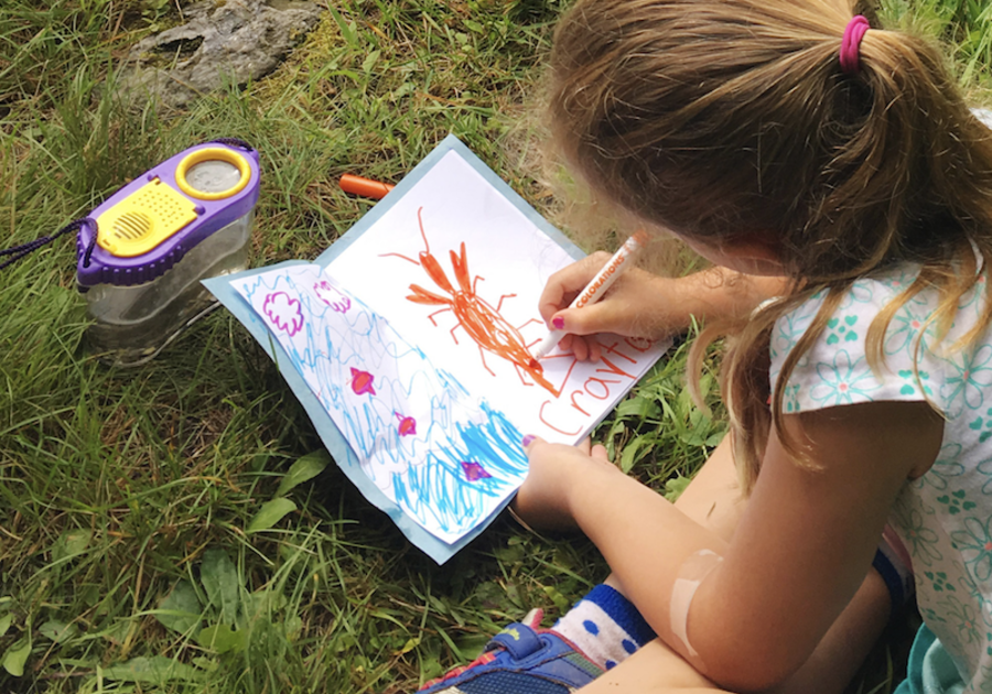 child drawing bugs outdoors at nature camp