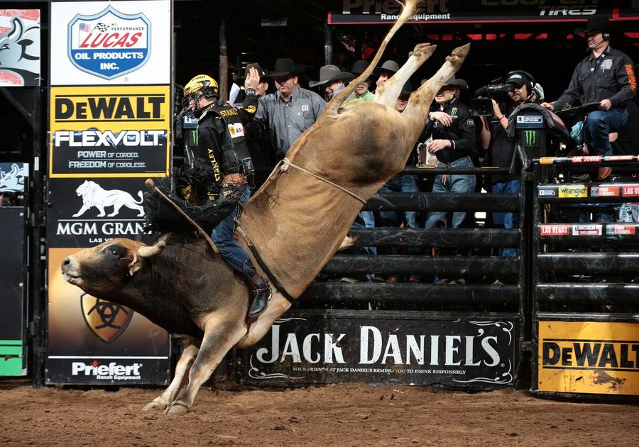 PBR - Professional Bull Riders, Madison Square Garden, New York, January 6  to January 7