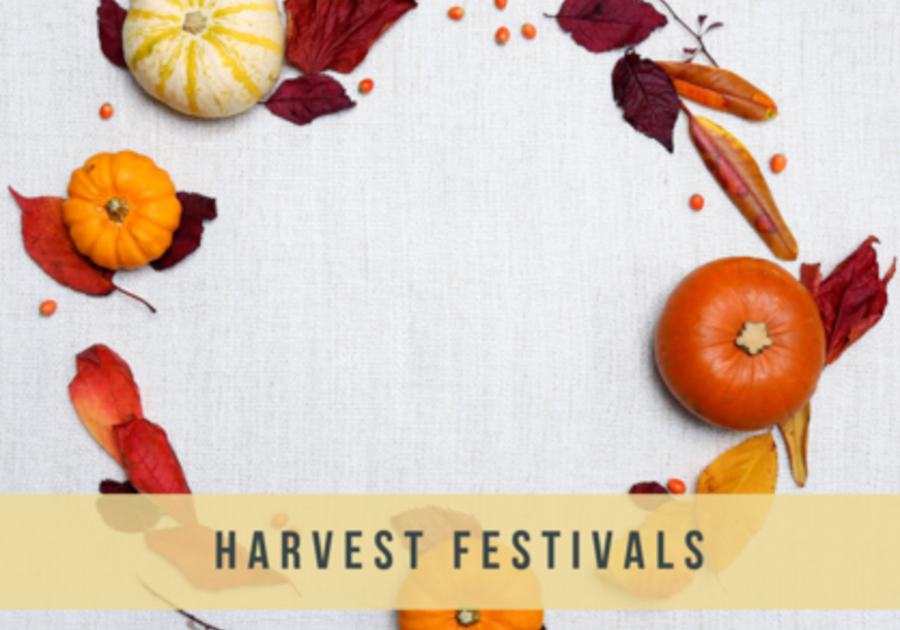 Harvest Festivals North County San Diego 2019