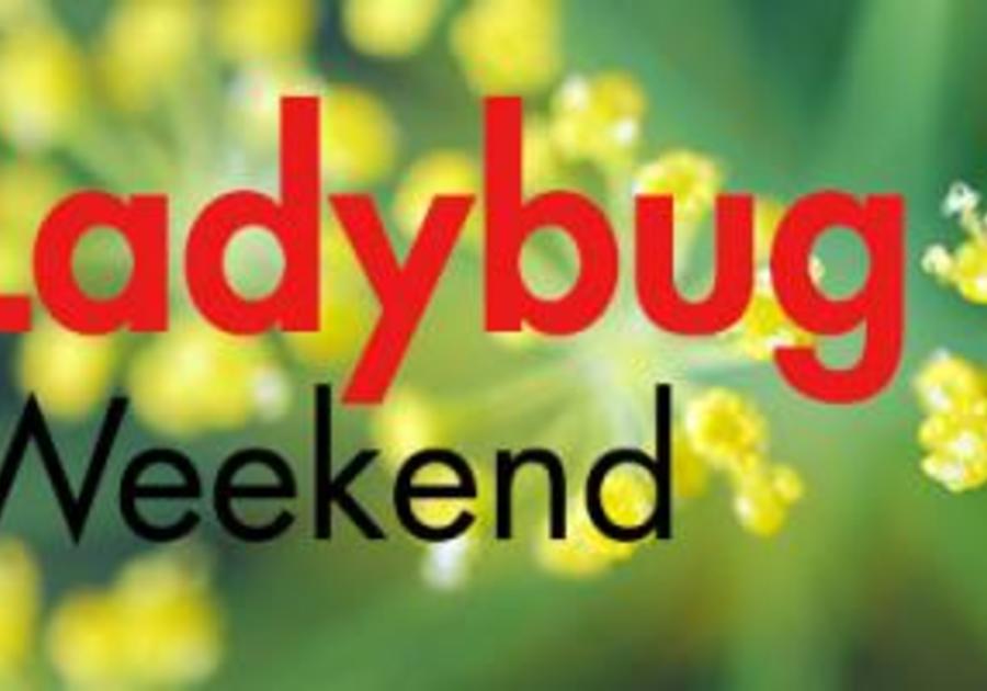 Family Fun Events in Sandy Springs, Dunwoody, Chamblee, Doraville, Atlanta, Perimeter, ATL, ITP, and OTP.