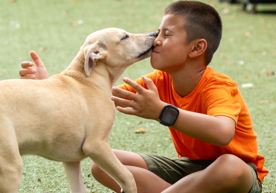 BVSPCA Critter Camp dog licking a campers face