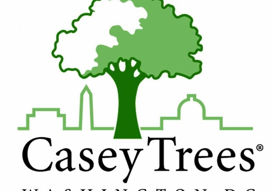 Casey Trees Logo