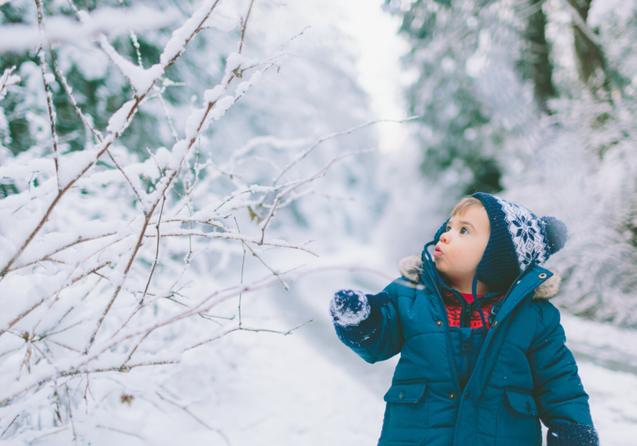 toddler boy outdoors snow Mount Greylock State Reservation programs 
