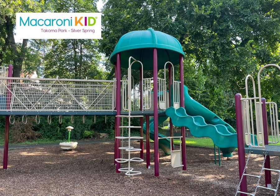 Play Equipment at Nolte Local Park