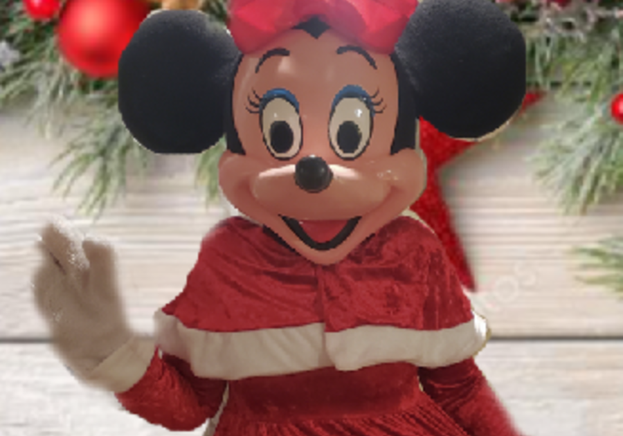 Holiday Minnie 1 - Dana Bush 