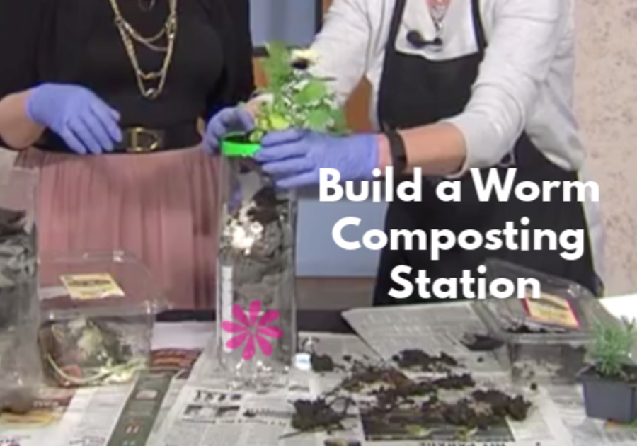Make a Worm Composting Station With your kids.