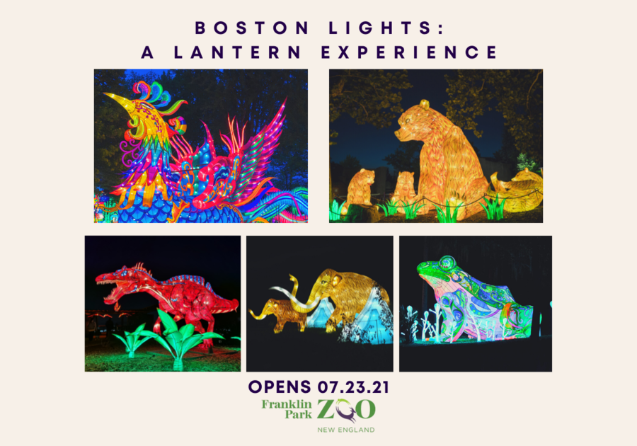 Boston Lights 2021 pictures of lantern animals