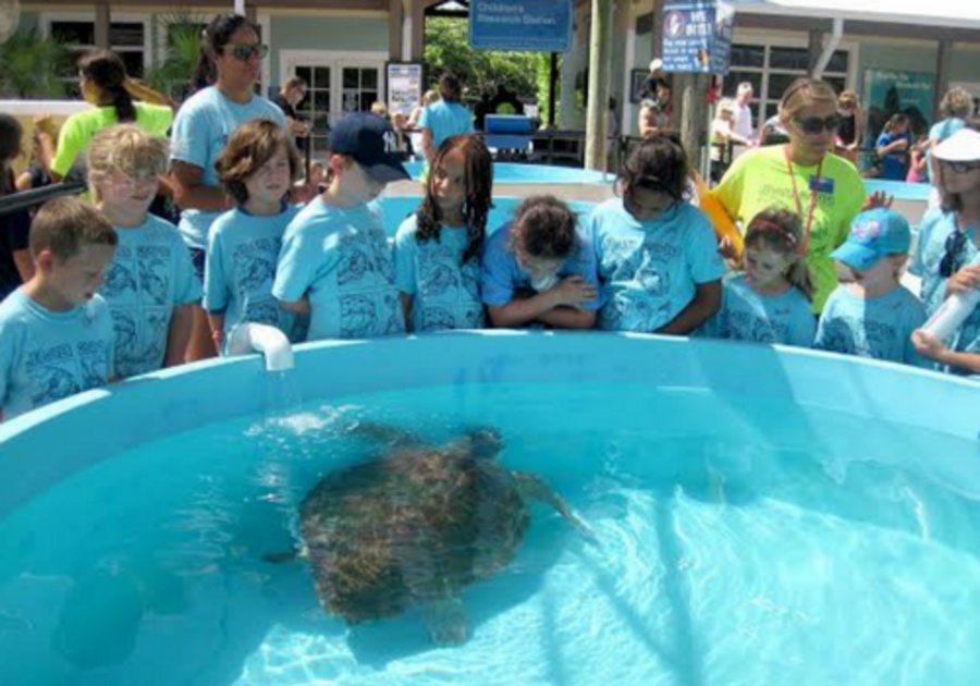 Loggerhead Marinelife Center