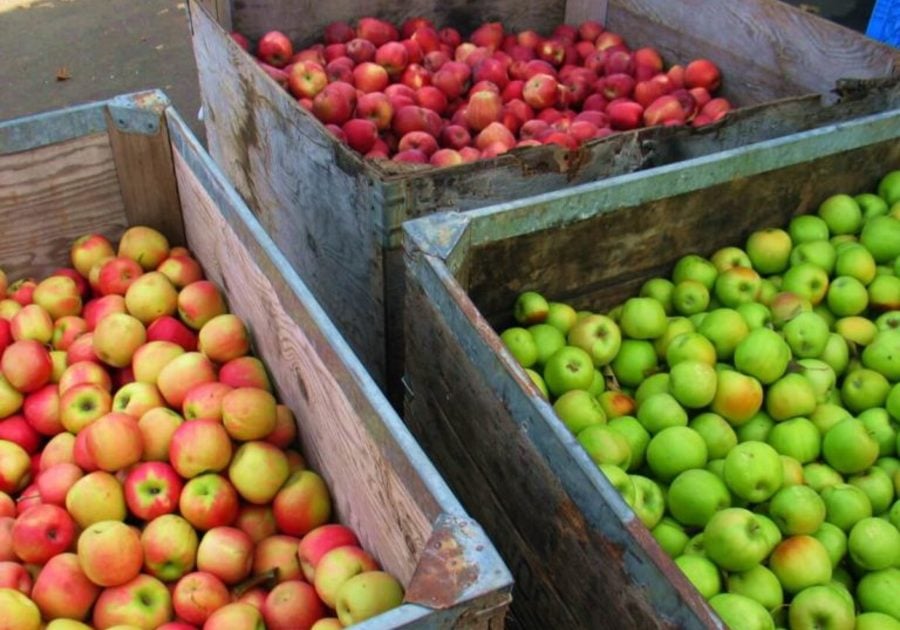 Apple Hill Growers