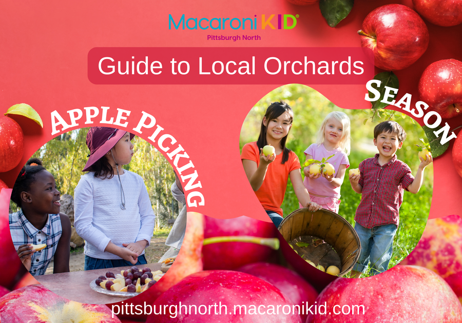 Apple Picking Guide Pittsburgh North