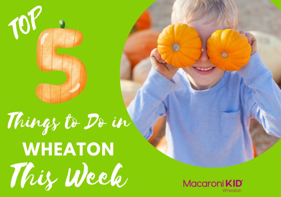 Top 5 Things to Do - Pumpkins