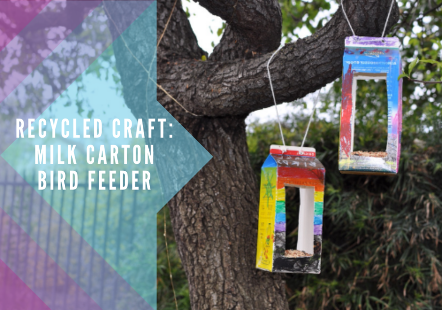 Milk Carton Bird Feeders hanging from tree