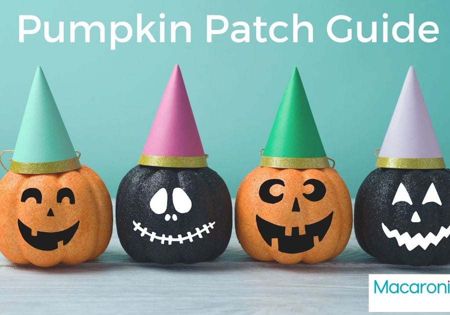 Pumpkin Patch Guide