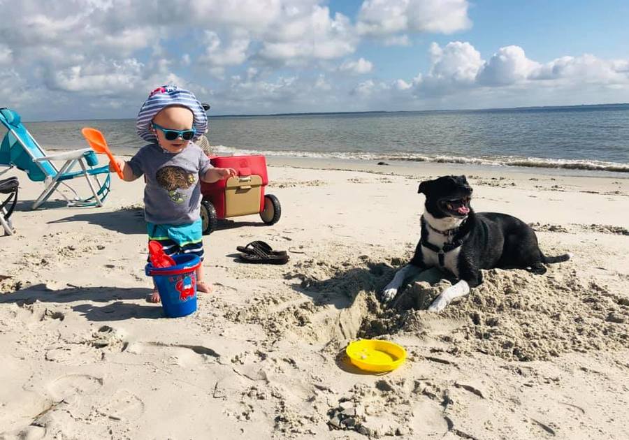 Hilton Head Island Beach - Kid and Dog Playing