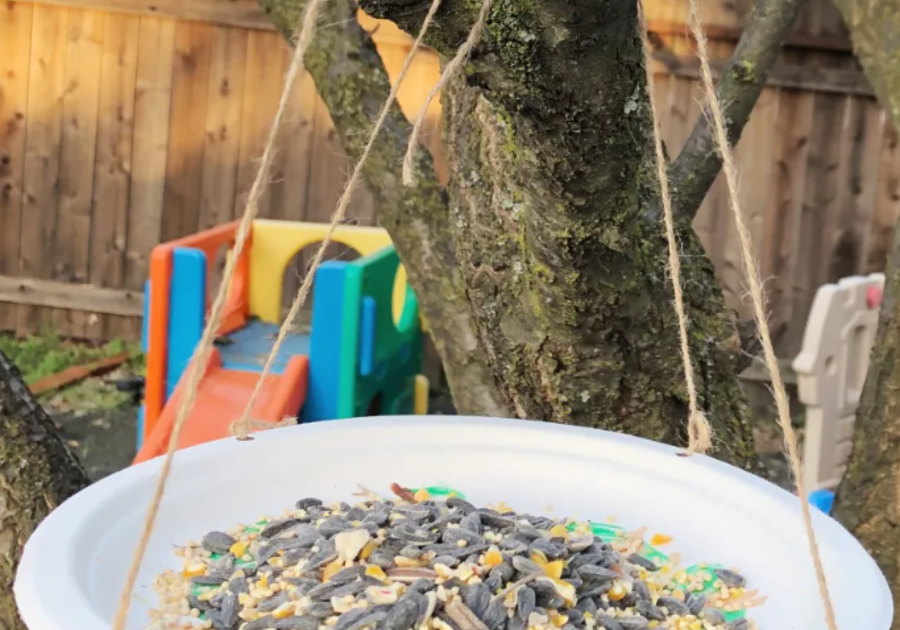 PAPER PLATE BIRD FEEDER