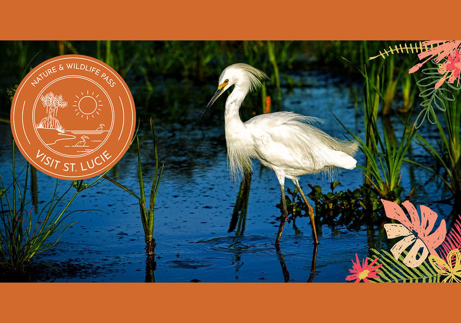 Visit St. Lucie Nature and Wildlife Pass