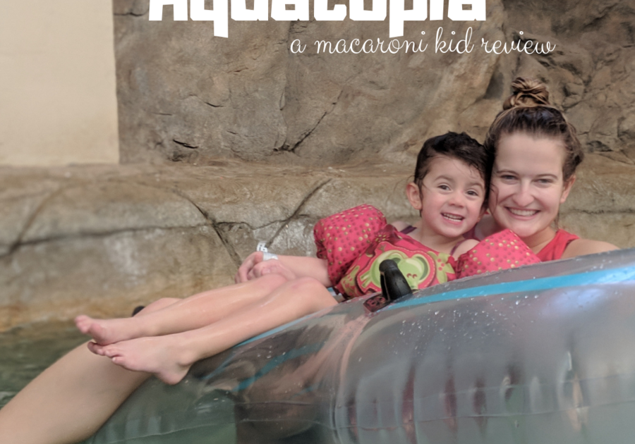Our Family Adventure at Aquatopia in Camelback Resort