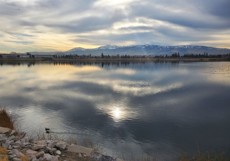 two ducks in dark grey water with clouds trees and yellow sunset in the distance things to do outdoors in sparks reno area kids family ideas outside