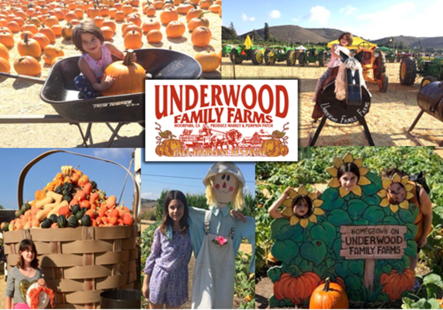 2020 Underwood Farms Pumpkin Patch,Pick Your Own & Harvest on the Farm
