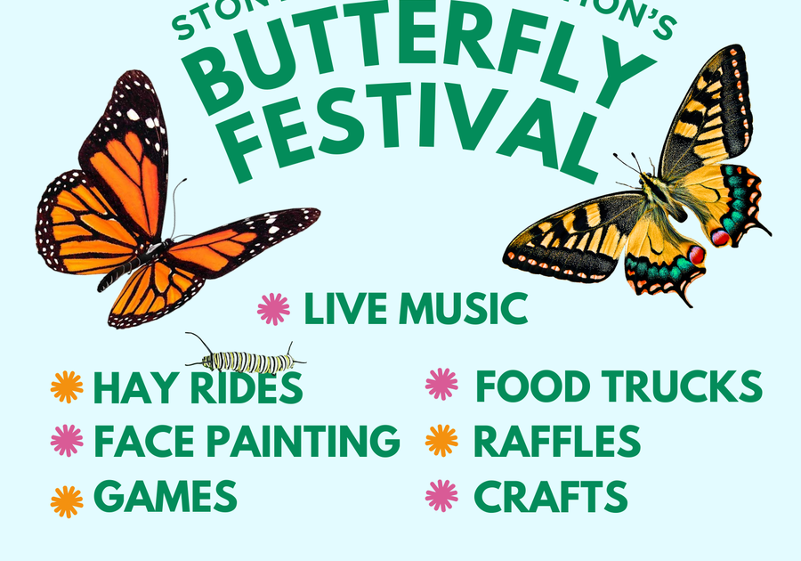 Butterfly Festival