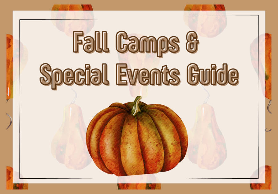 Fall Camps, Art, sports, tutoring, Lakewood Ranch