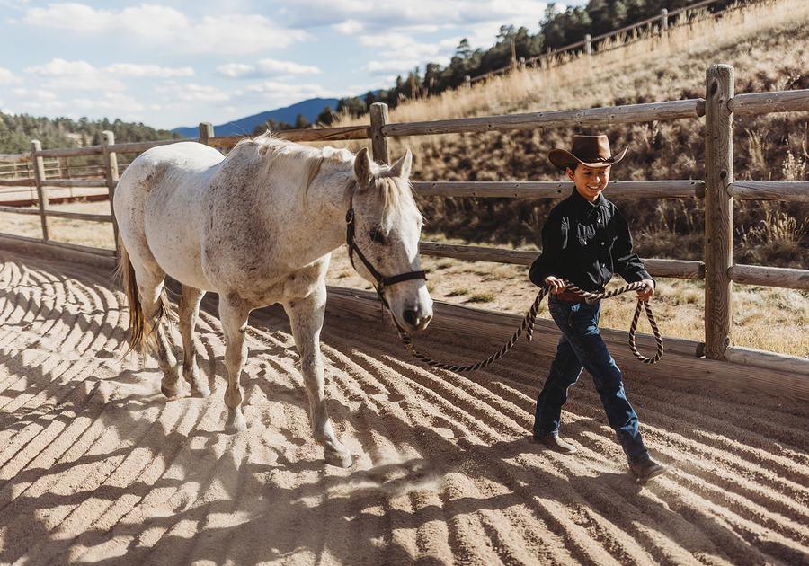 Grace Mountain Ranch Happy Horse leader