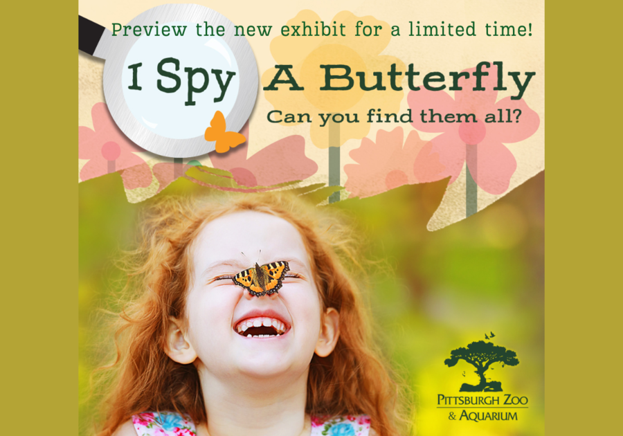 Pittsburgh Zoo and Aquarium 2025 Seasonal Butterfly Preview