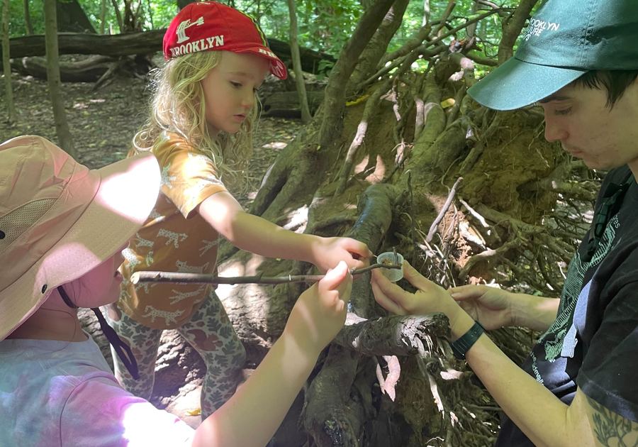 Brooklyn Nature Days