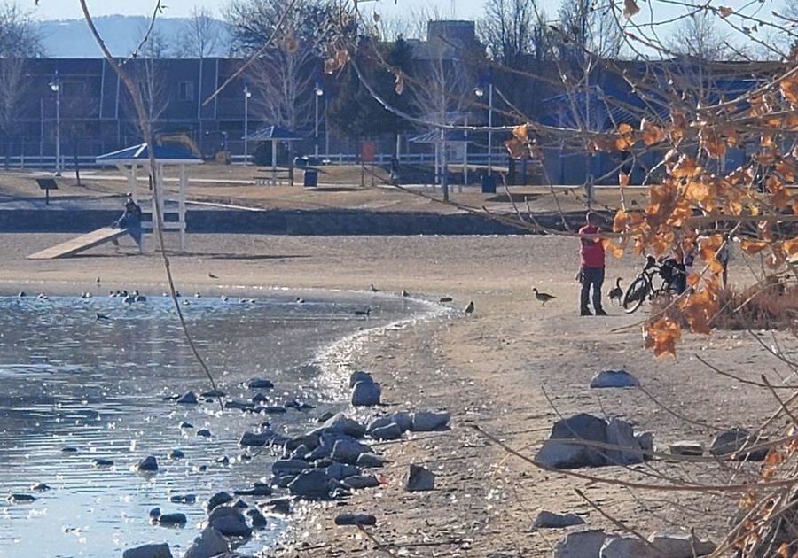 shoreline water family in the distance things to do outdoors in sparks reno area kids family ideas outside