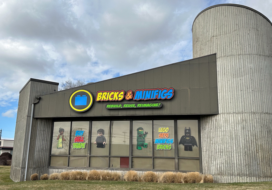 Bricks & Minifig Building