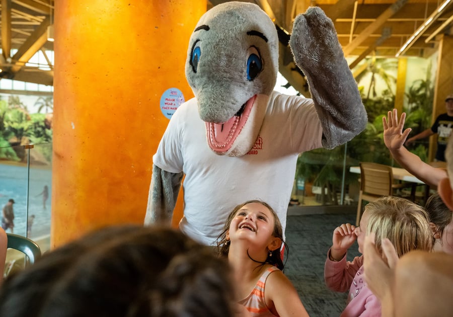 Splash Lagoon Indoor Water Park