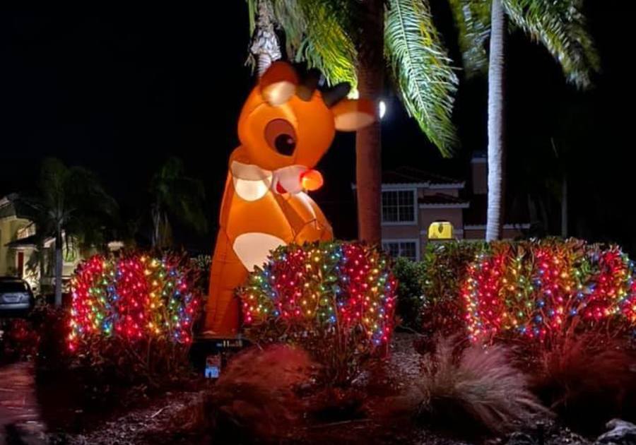 Holiday Drive Thru in Symphony Isles Macaroni KID Apollo Beach