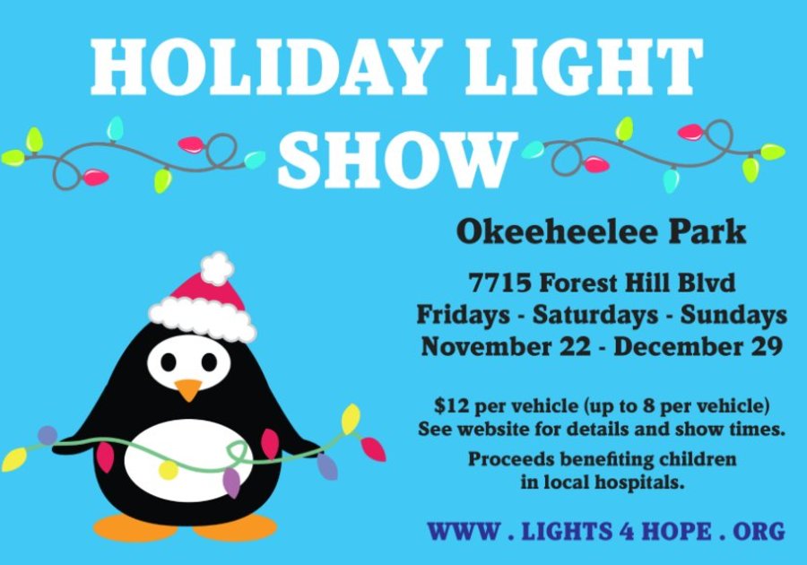 Holiday Light Show 4 Hope
